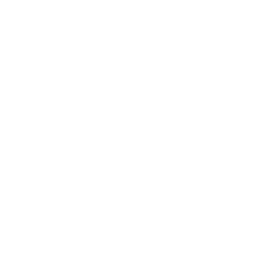 A black and white image of the name anne-parton.